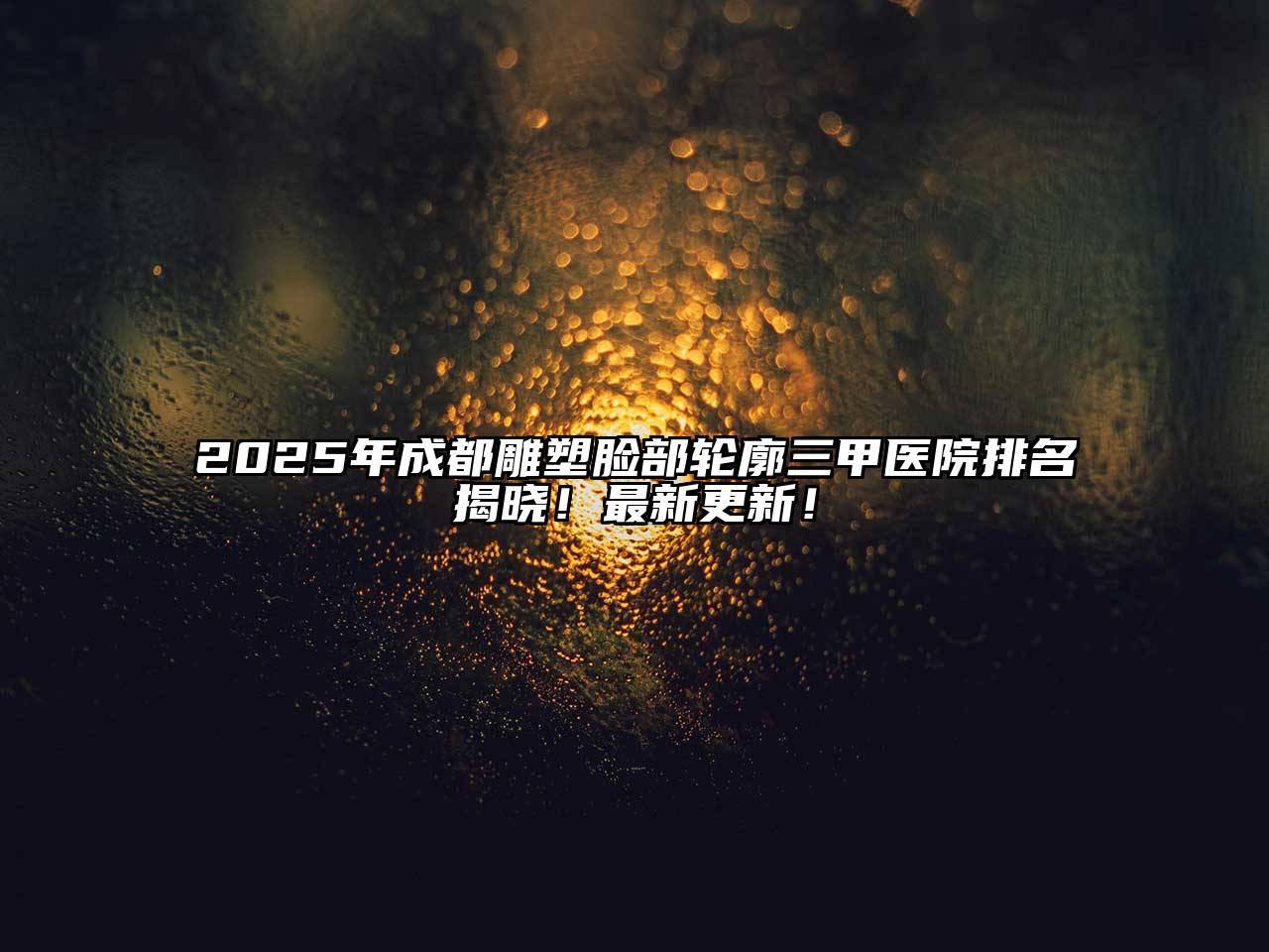 2025年成都雕塑脸部轮廓三甲医院排名揭晓！最新更新！