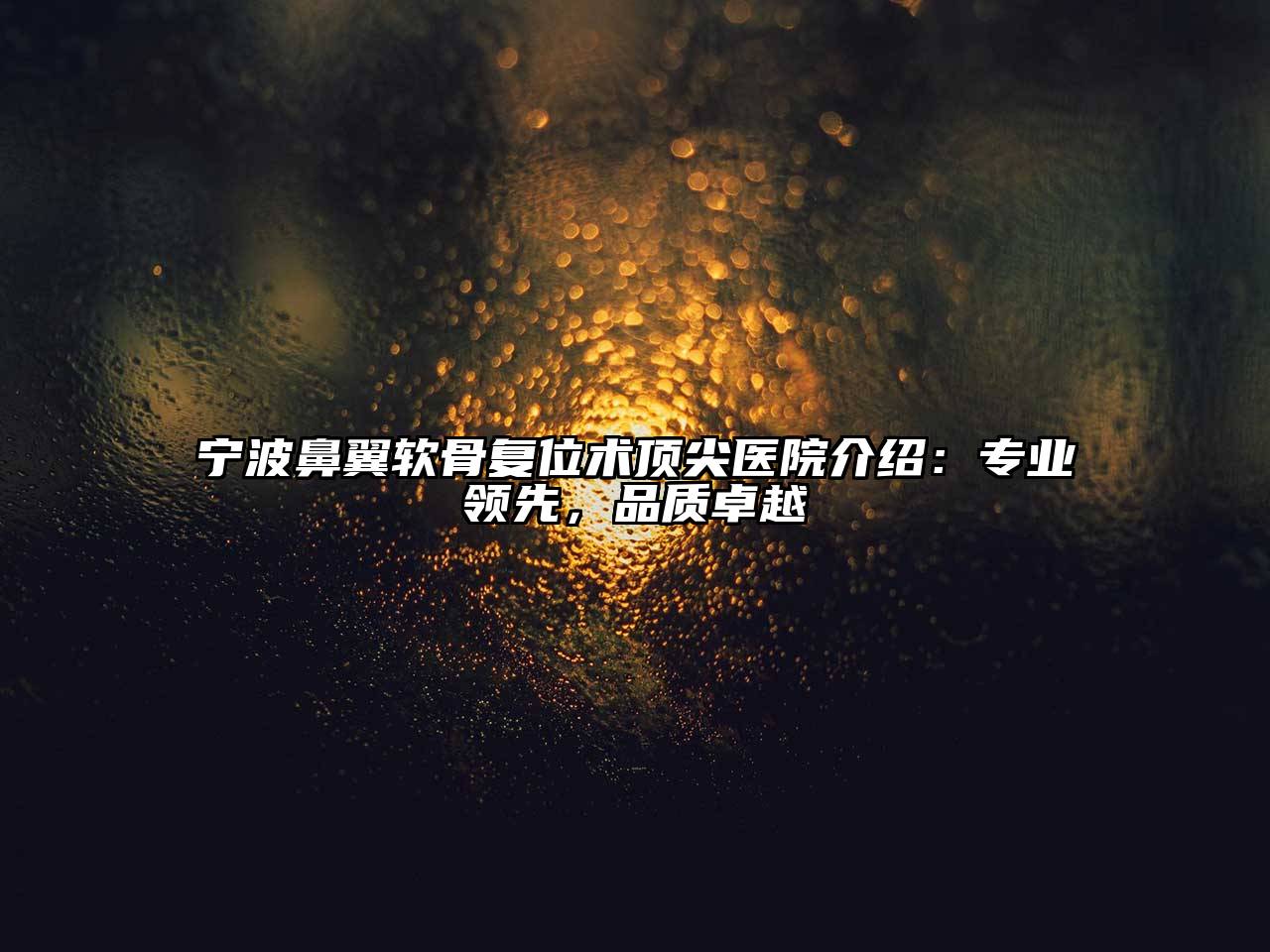 宁波鼻翼软骨复位术顶尖医院介绍：专业领先，品质卓越